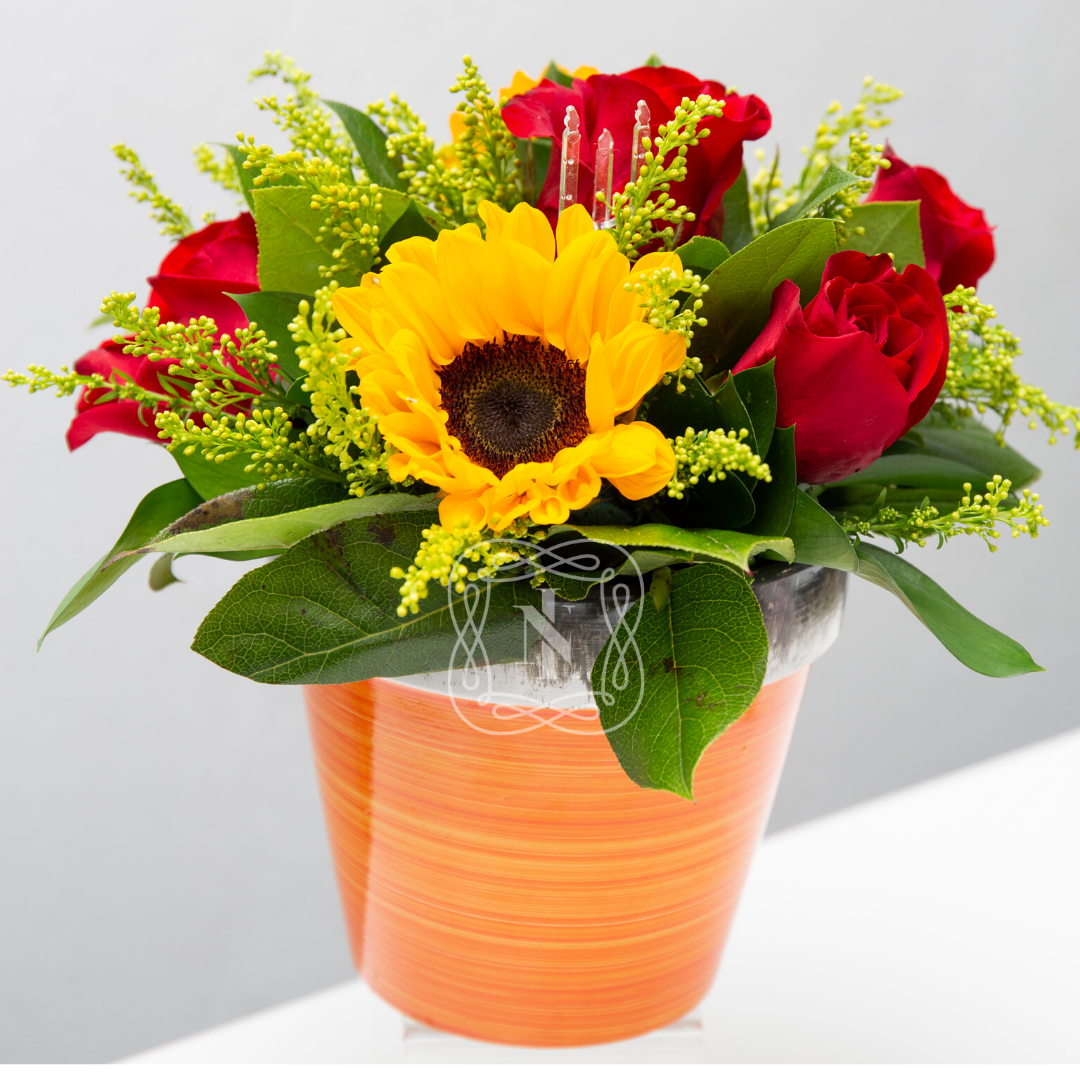 Sunshine Arrangement