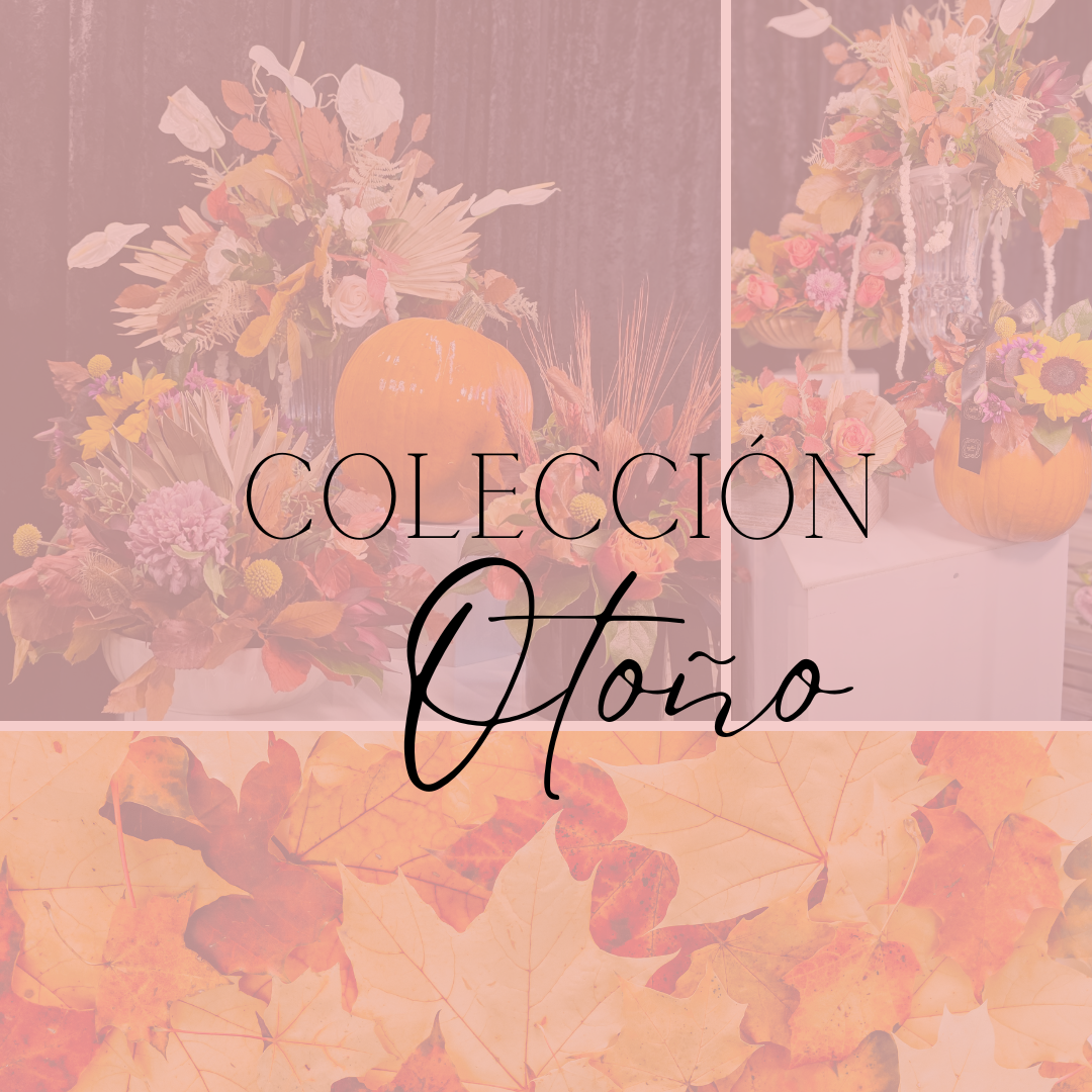 Colección de Otoño